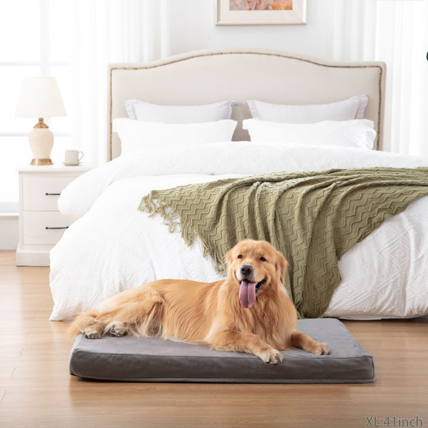 Tucker Murphy Pet™ Orthopedic Memory Foam Dog Bed, Cooling Dog Beds